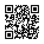 101X41W104MV4E QRCode