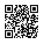 102S42E3R9BV4E QRCode