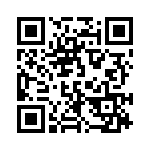 106-391K QRCode