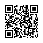 110060062 QRCode