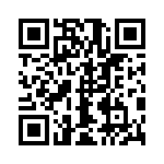 1101711001 QRCode