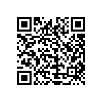 1111J1K00300JQT QRCode