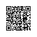 1111J1K00910JQT QRCode