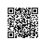 1111J2K02P10DQT QRCode