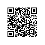 1111J2K04P30HQT QRCode