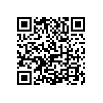 1111J2K05P10DQT QRCode