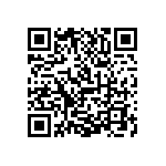 1111J2K06P20DQT QRCode