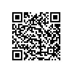 1111Y1000130KQT QRCode