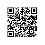 1111Y1001P30DQT QRCode