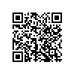 1111Y1004P30DQT QRCode