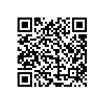 1111Y1K00510FQT QRCode