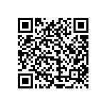 1111Y1K00910GQT QRCode