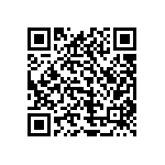 1111Y1K01P10HQT QRCode