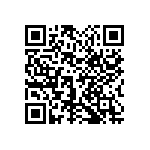 1111Y1K01P30DQT QRCode