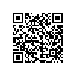 1111Y1K01P80BQT QRCode