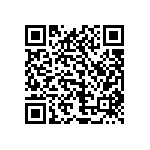 1111Y1K01P90HQT QRCode