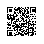 1111Y1K03P60DQT QRCode