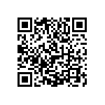 1111Y1K04P30HQT QRCode