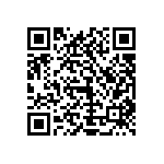 1111Y1K0P400DQT QRCode