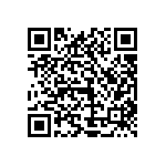 1111Y1K0P500BQT QRCode