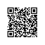 1111Y2001P70DQT QRCode