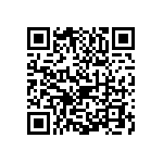 1111Y2001P80DQT QRCode