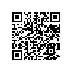 1111Y2004P30HQT QRCode