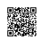 1111Y2509P10BQT QRCode