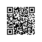 1111Y250P300BQT QRCode