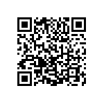 1111Y250P300HQT QRCode