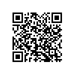 1111Y2K00130GQT QRCode