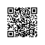 1111Y2K03P30DQT QRCode