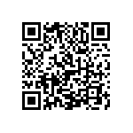 1111Y2K04P30CQT QRCode