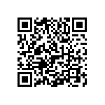 1111Y2K04P70BQT QRCode