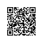 1111Y2K0P500DQT QRCode