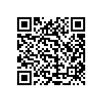 1111Y3000130FQT QRCode