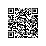 1111Y3000161FQT QRCode