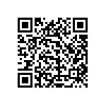 1111Y3000161GQT QRCode