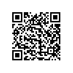 1111Y3000910KQT QRCode