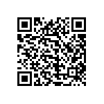 1111Y3001P10CQT QRCode