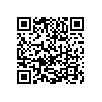 1111Y300P400BQT QRCode