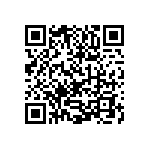 1111Y300P500BQT QRCode