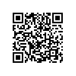 1111Y300P600BQT QRCode