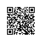 1111Y5000270KQT QRCode