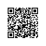 1111Y5001P90BQT QRCode