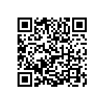 1111Y5004P00DQT QRCode