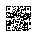 1111Y6304P30HQT QRCode