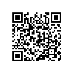 116-87-304-41-002101 QRCode