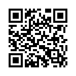 11TS95-1 QRCode