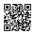 12-6513-10H QRCode